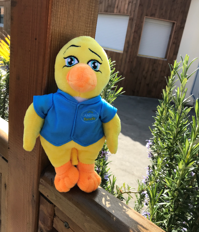 camping paradis au meilleur prix Vendée